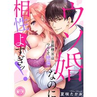 ウソ婚なのに相性よすぎッ!〜旦那様(仮)はワルくて絶倫〜(2)