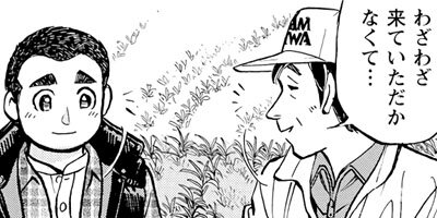 ���������� 241