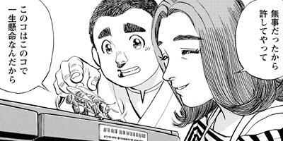 ���������� 311