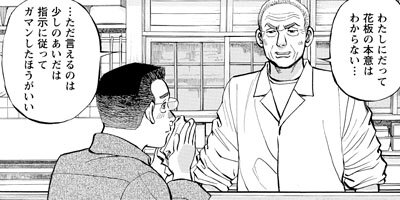 ���������� 333