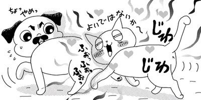 �����Υѥ���ǭ�Ǥ��롣 36