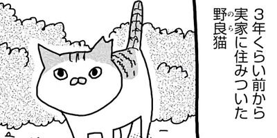 �����Υѥ���ǭ�Ǥ��롣 37