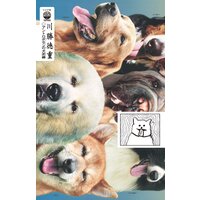 アントロポセンの犬泥棒