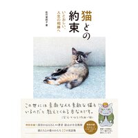 猫との約束