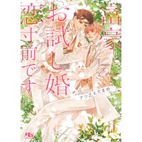 【電子限定おまけ付き】 富豪とお試し婚なのに恋寸前です 【イラスト付き】