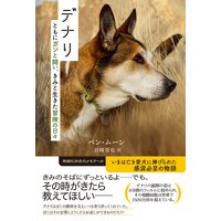 デナリ