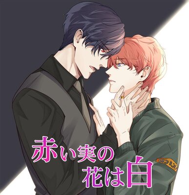 �֤��¤β֤���ڥե륫�顼��