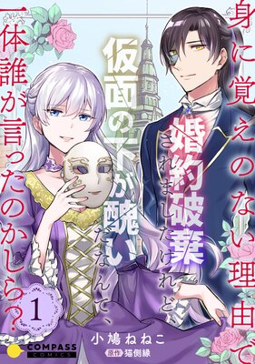 身に覚えのない理由で婚約破棄されましたけれど 仮面の下が醜いだなんて 一体誰が言ったのかしら 小鳩ねねこ 他 電子コミックをお得にレンタル Renta