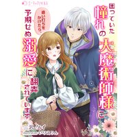 困っていた憧れの大魔術師様に追い打ちをかけたら、予期せぬ溺愛に翻弄されています