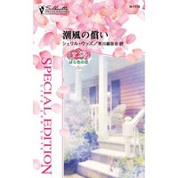 潮風の償い