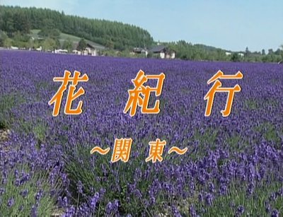 �ֵ��ԡ������