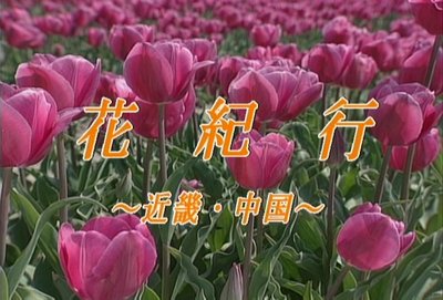 �ֵ��ԡ��ᵦ������