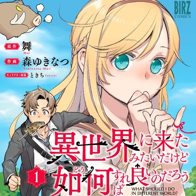 タテコミ 異世界に来たみたいだけど如何すれば良いのだろう フルカラー 舞 他 電子コミックをお得にレンタル Renta