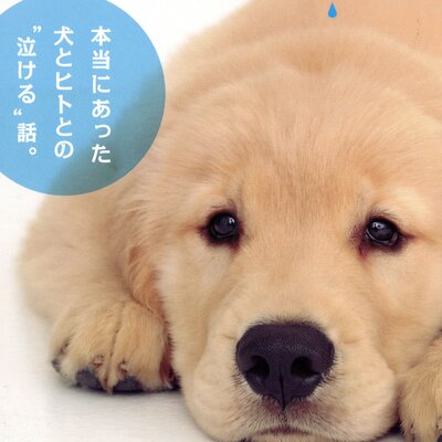 まんが わんこの涙 成犬譲渡ボランティアが見た泣ける話 樋口きしこ 他 電子コミックをお得にレンタル Renta