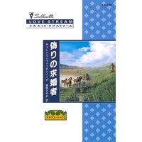 偽りの求婚者 テキサス・シーク III