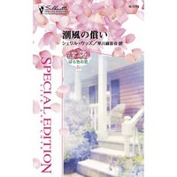 潮風の償い