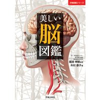 美しい脳図鑑