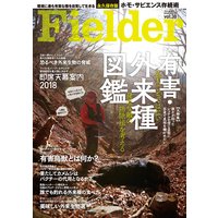 Fielder vol.38