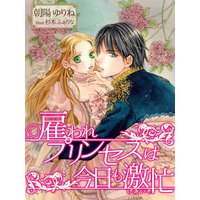雇われプリンセスは今日も激忙