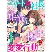 エリート副社長の難解で極甘な変愛行動