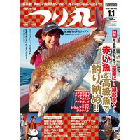 つり丸 2019年 1/1号