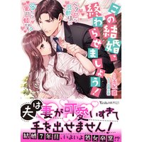 この結婚、終わらせましょう!〜ベタ甘な旦那様の密かな蜜月願望?〜