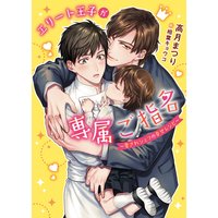 エリート王子が専属ご指名 〜愛されシェフの幸せレシピ〜【イラスト入り】