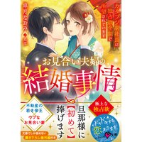 お見合い夫婦の結婚事情〜カタブツ副社長に独占欲全開で所望されています〜