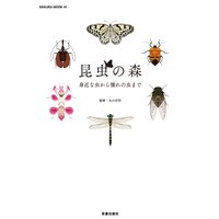 昆虫の森