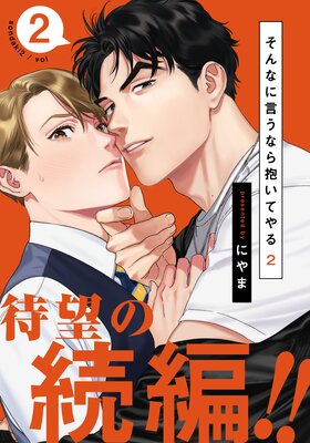 そんなに言うなら抱いてやる2（2）