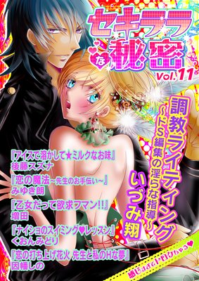 セキララな秘密 Vol.11