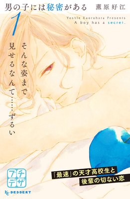 男の子には秘密がある プチデザ