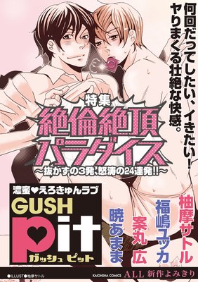 GUSHpit 絶倫絶頂パラダイス〜抜かずの3発、怒涛の24連発!!〜