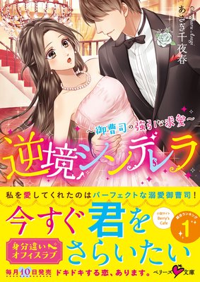 逆境シンデレラ〜御曹司の強引な求愛〜