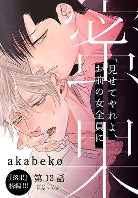 蜜果（12）